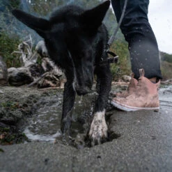 XTRATUF Ladies Waterproof Pink Cream Deck Boots XWAL-400 -Western Cowboy Equipment XWAL400 9 EXTRALARGE