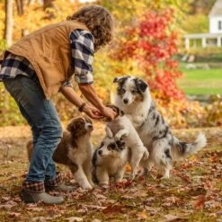 Muck Boot Company Muck Ladies Muckster II Mid Walnut Plaid Waterproof Boots WM2-9PLD 17 Muck Boot Company Muck Ladies Muckster II Mid Walnut Plaid Waterproof Boots WM2-9PLD -Western Cowboy Equipment wm2 9PLD 2