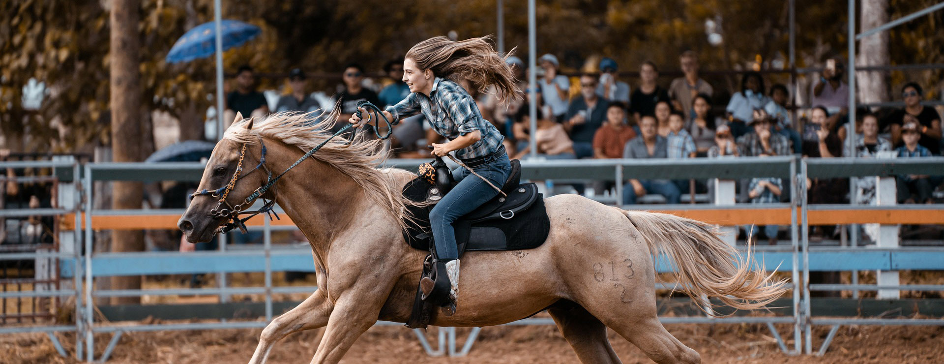 Western Cowboy Equipment -Western Cowboy Equipment horse 8209523 1920