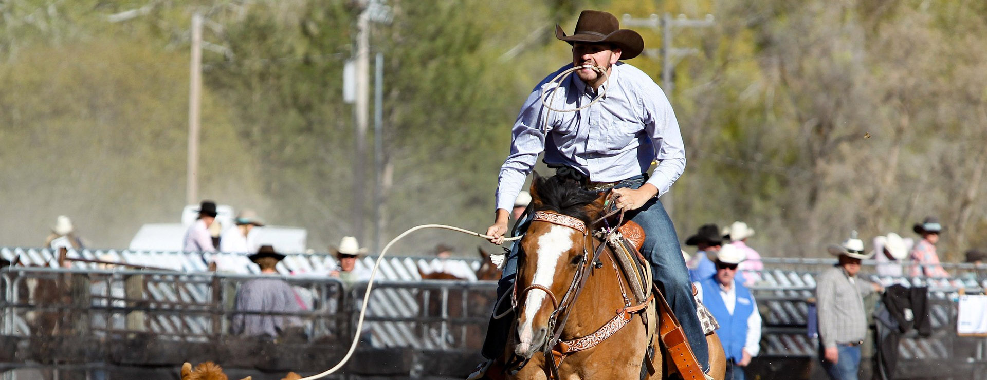 Western Cowboy Equipment -Western Cowboy Equipment rodeo 3578531 1920